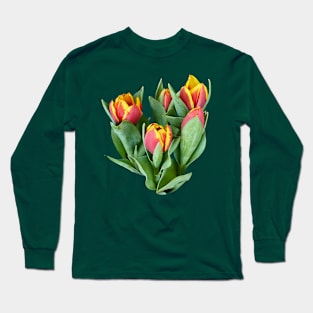 Tulips Just Opening Long Sleeve T-Shirt